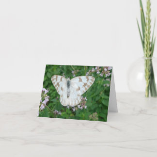 Nydagsträdgårdar Notecard-kontrollerad vit Kort