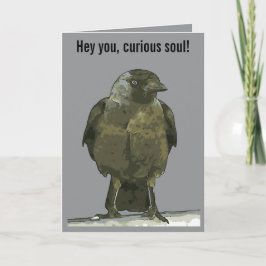 Nyfiken abborre Svart kråka Kort