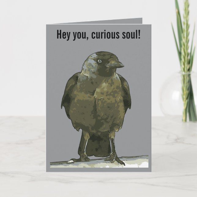 Nyfiken abborre Svart kråka Kort (Framsida)