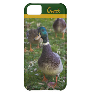 Nyfiken anka iPhone 5 Casemate-fodral 5C Fodral