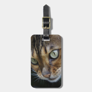 Nyfiken bengalkatt bagagebricka
