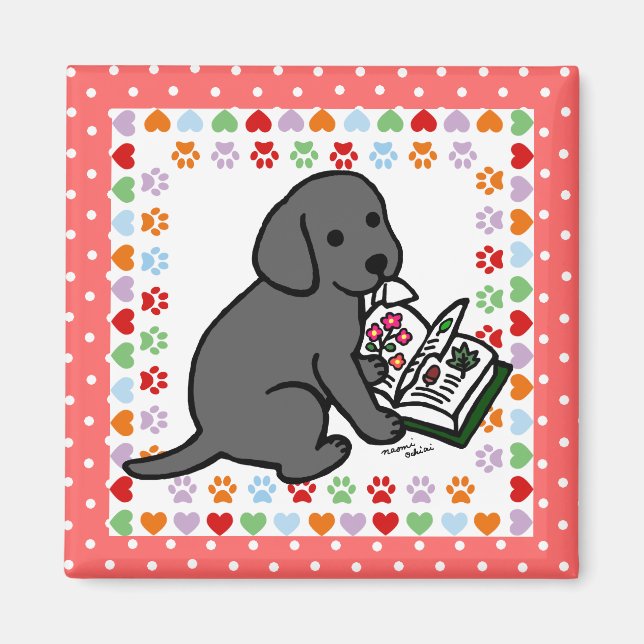 Nyfiken Black Labrador Puppy Magnet (Framsidan)