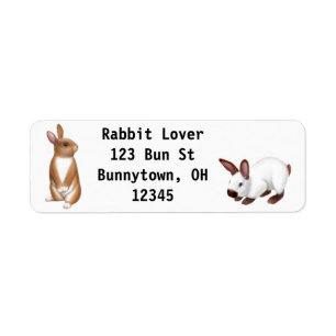 Nyfiken Bunny Rabbit-etikett Returadress Etikett