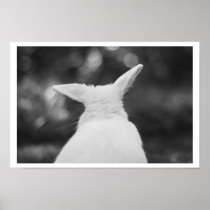 nyfiken bunt poster