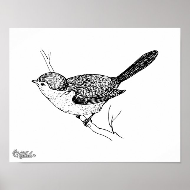 Nyfiken Bushtit Bird Sketch Poster (Framsidan)