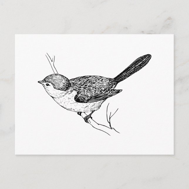 Nyfiken Bushtit Bird Sketch Vykort (Framsida)