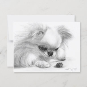 Nyfiken Chihuahua Hand Painting Hund Art Vykort