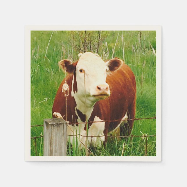 Nyfiken Cow 4Ricky Pappersservett (Framsidan)