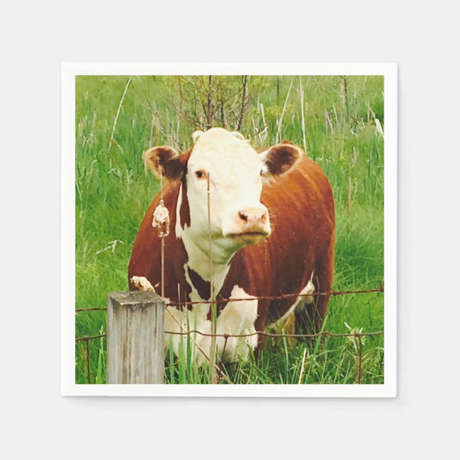 Nyfiken Cow 4Ricky Pappersservett (Framsidan)