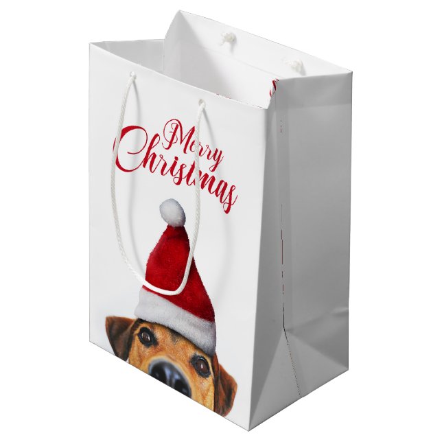 Nyfiken Cute Rolig hund med Santa Hat (Framsidan Vinklad)