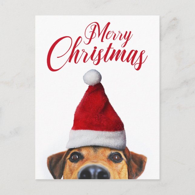 Nyfiken Cute Rolig hund med Santa Hat Helg Vykort (Framsida)
