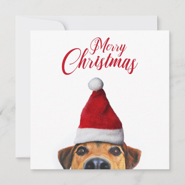 Nyfiken Cute Rolig hund med Santa Hat Inbjudningar (Framsida)