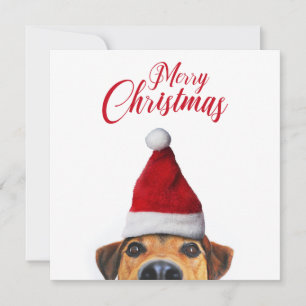 Nyfiken Cute Rolig hund med Santa Hat Inbjudningar