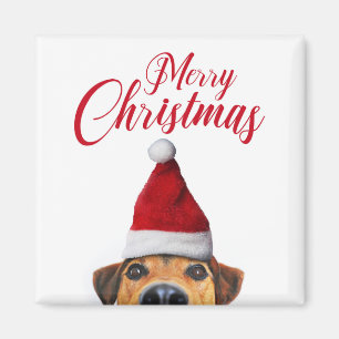 Nyfiken Cute Rolig hund med Santa Hat Magnet