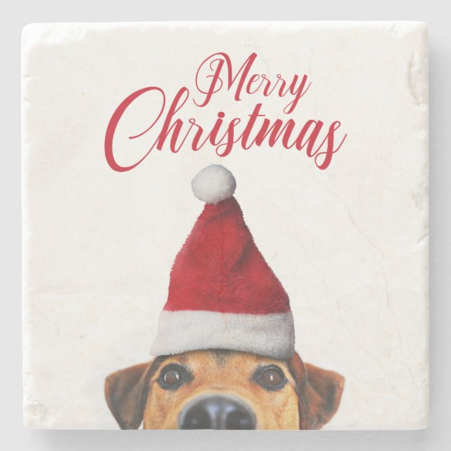 Nyfiken Cute Rolig hund med Santa Hat Stenunderlägg (Framsidan)