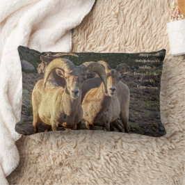 Nyfiken Desert Bighorn, fårkött och tackor Lumbarkudde