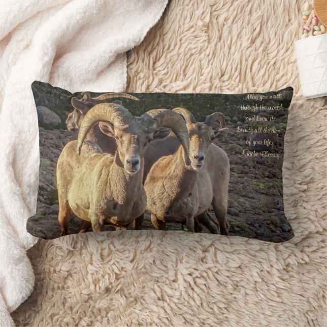 Nyfiken Desert Bighorn, fårkött och tackor Lumbarkudde (Filt)