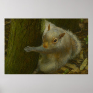 Nyfiken ekorre - Woodland Wildlife Art Poster