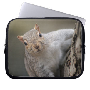 Nyfiken ekorrelaptop sleeve