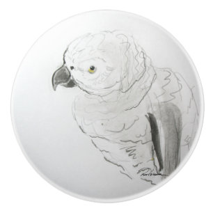 Nyfiken Feathers Pet Parrot Knopp