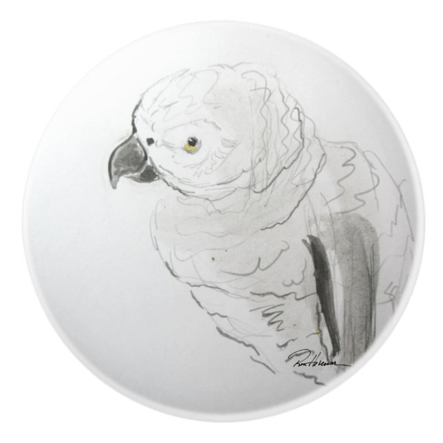 Nyfiken Feathers Pet Parrot Knopp (Framsidan)
