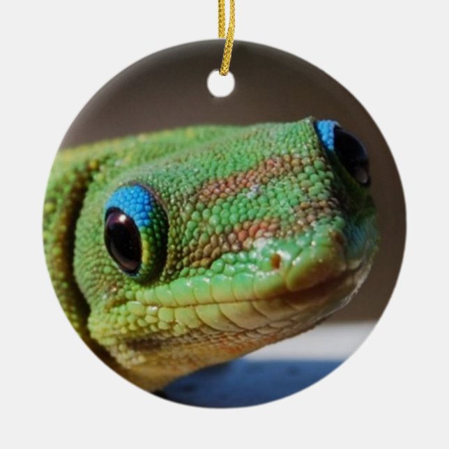 Nyfiken Gecko Julgransprydnad Keramik (Framsidan)