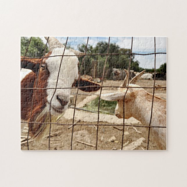 Nyfiken get - pussel (Horisontell)