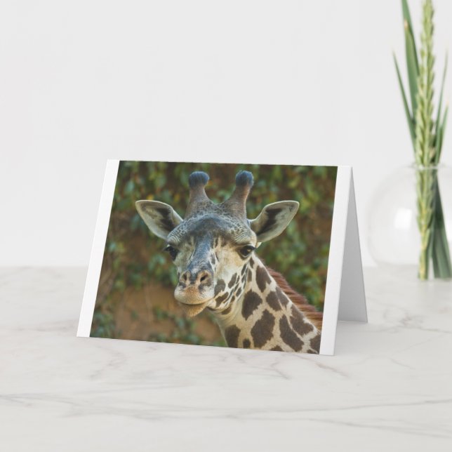 Nyfiken Giraffe Kort (Framsida)