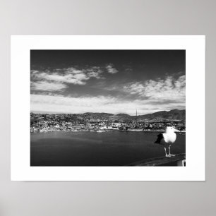 Nyfiken gul fågel, svart och vit fotografi poster