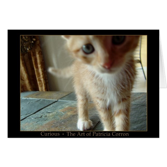 Nyfiken Hälsningskort (Framsidan Horizontal)