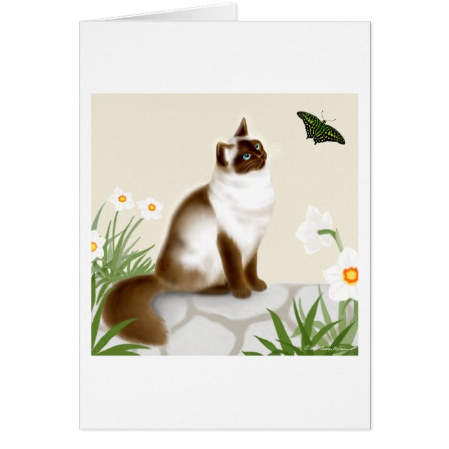 Nyfiken Himalayan katt Hälsningskort (Framsidan)