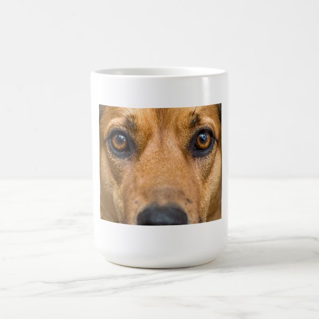 Nyfiken Hund som tittar Kaffemugg (Center)
