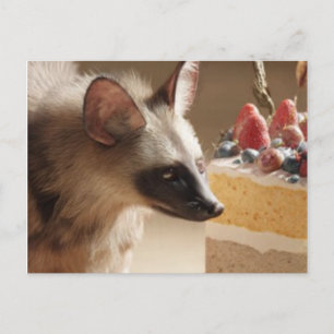 Nyfiken Hyena & Tårta Postkort Vykort