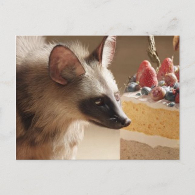 Nyfiken Hyena & Tårta Postkort Vykort (Framsida)
