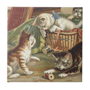 Nyfiken katt för UTSLAGSPLATS Kakelplatta