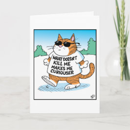 Nyfiken katt  kort