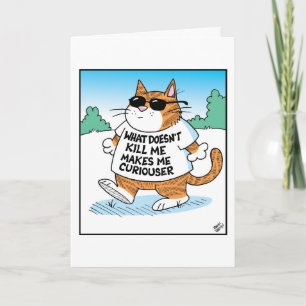 Nyfiken katt kort