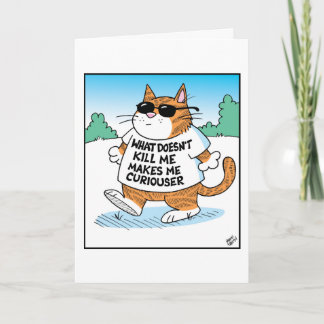 Nyfiken katt  kort