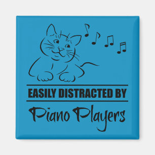 Nyfiken katt lätt uppdelad av pianospelare magnet