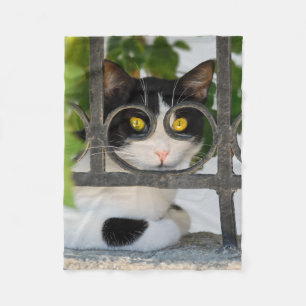 Nyfiken Katt med glasögon Ram Funny - kompetiera Fleecefilt