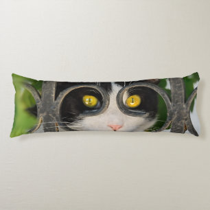 Nyfiken Katt med glasögon Ram Funny Pet Photo Kroppskudde