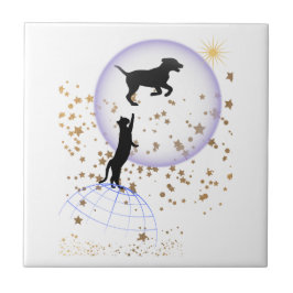 Nyfiken katt och löpande hund kakelplatta