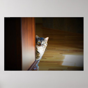 Nyfiken katt, poster