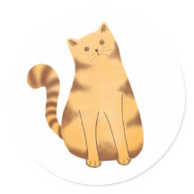 Nyfiken katt