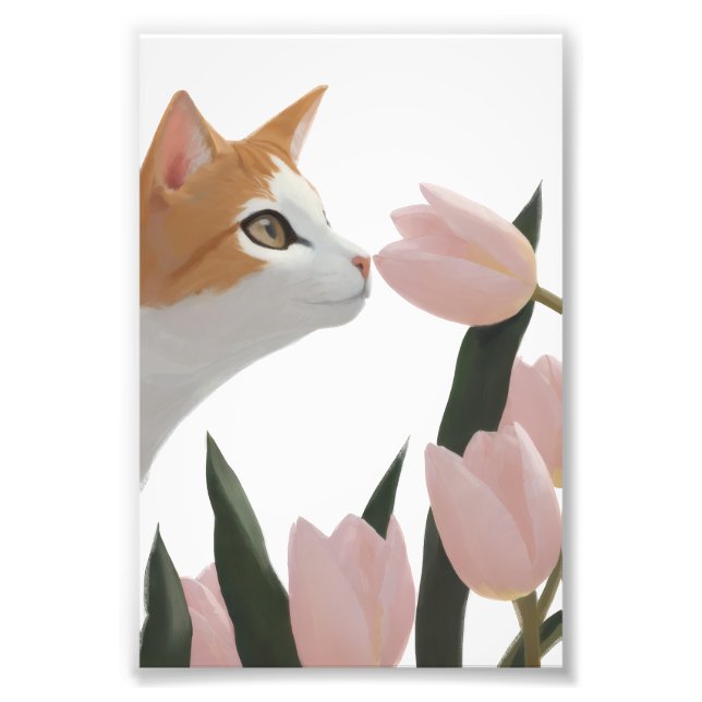 Nyfiken katt vårblomma fototryck (Framsidan)