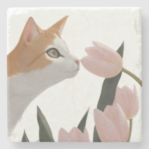 Nyfiken katt vårblomma stenunderlägg