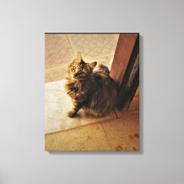 Nyfiken Kattunge bärbar dator Canvastryck