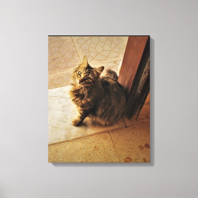 Nyfiken Kattunge bärbar dator Canvastryck (Framsida)