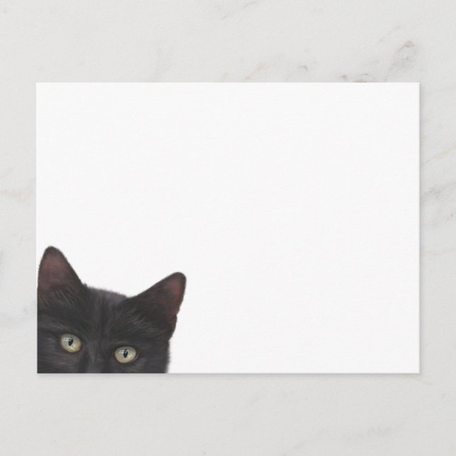 Nyfiken Kattunge digital målning Vykort (Framsida)