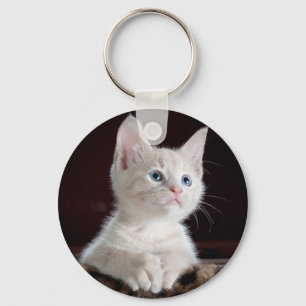 Nyfiken kattunge nyckelring